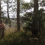 GTA 6