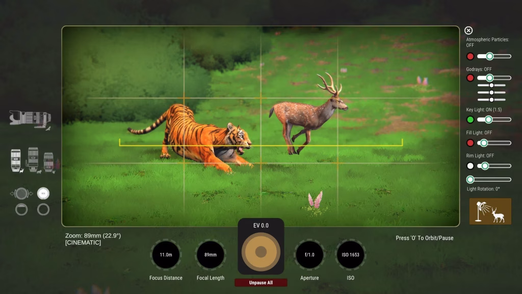 Safari