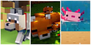 Minecraft