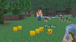 Minecraft