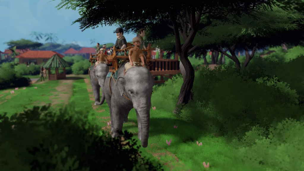 Safari