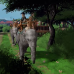 Safari