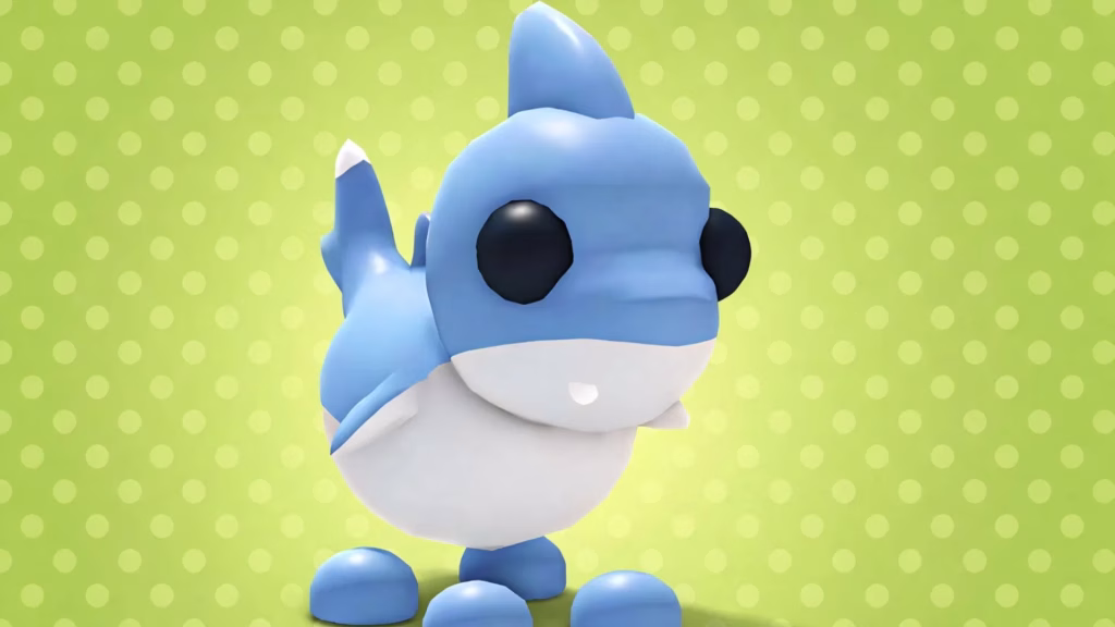 Shark Puppy