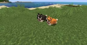 Minecraft
