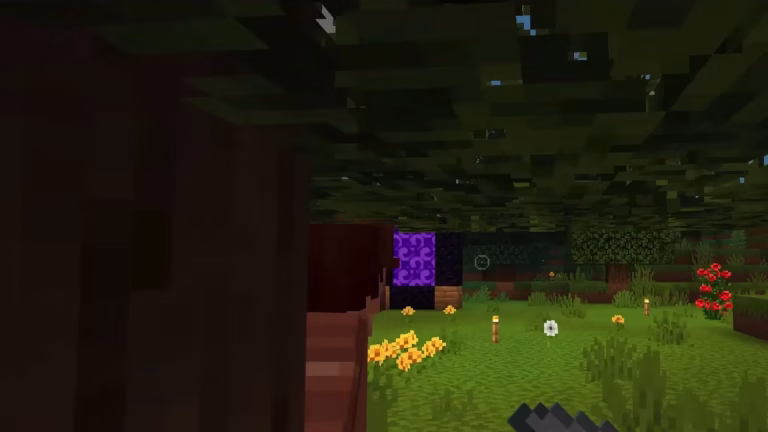 Minecraft