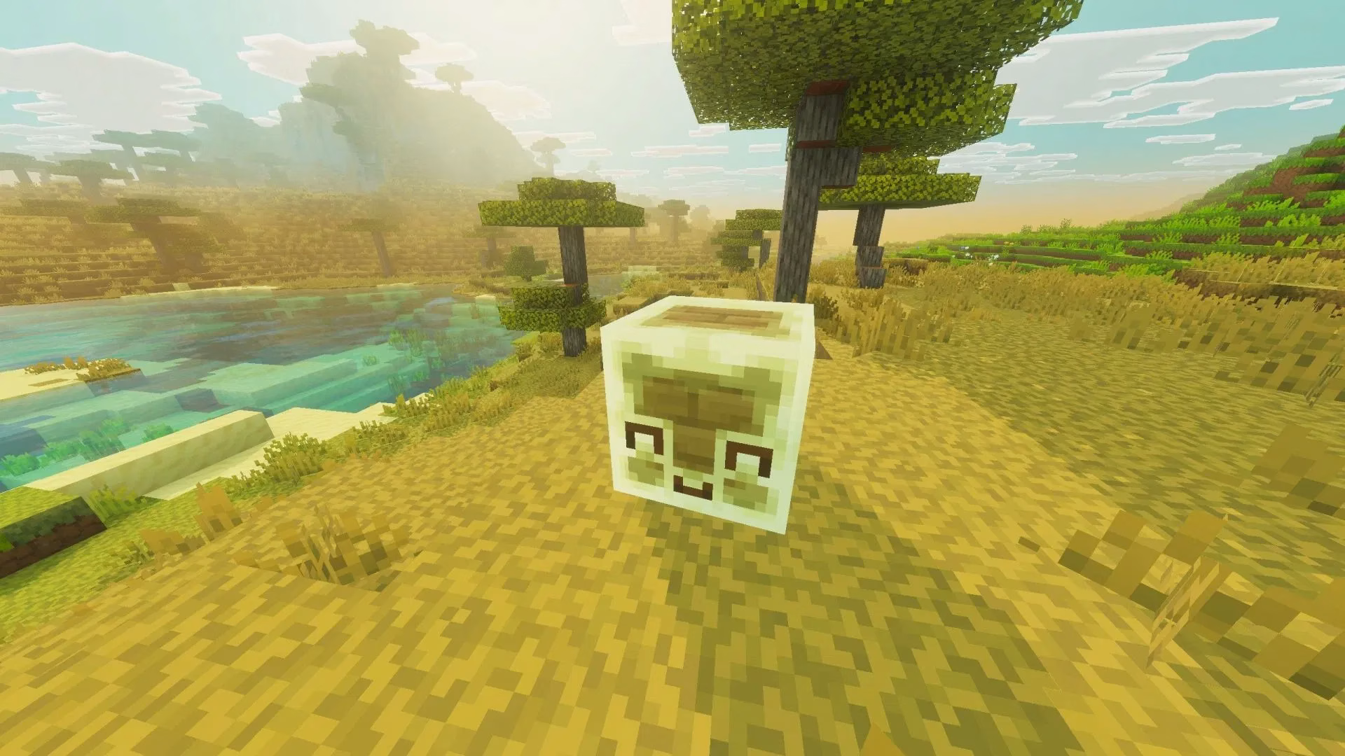 Minecraft