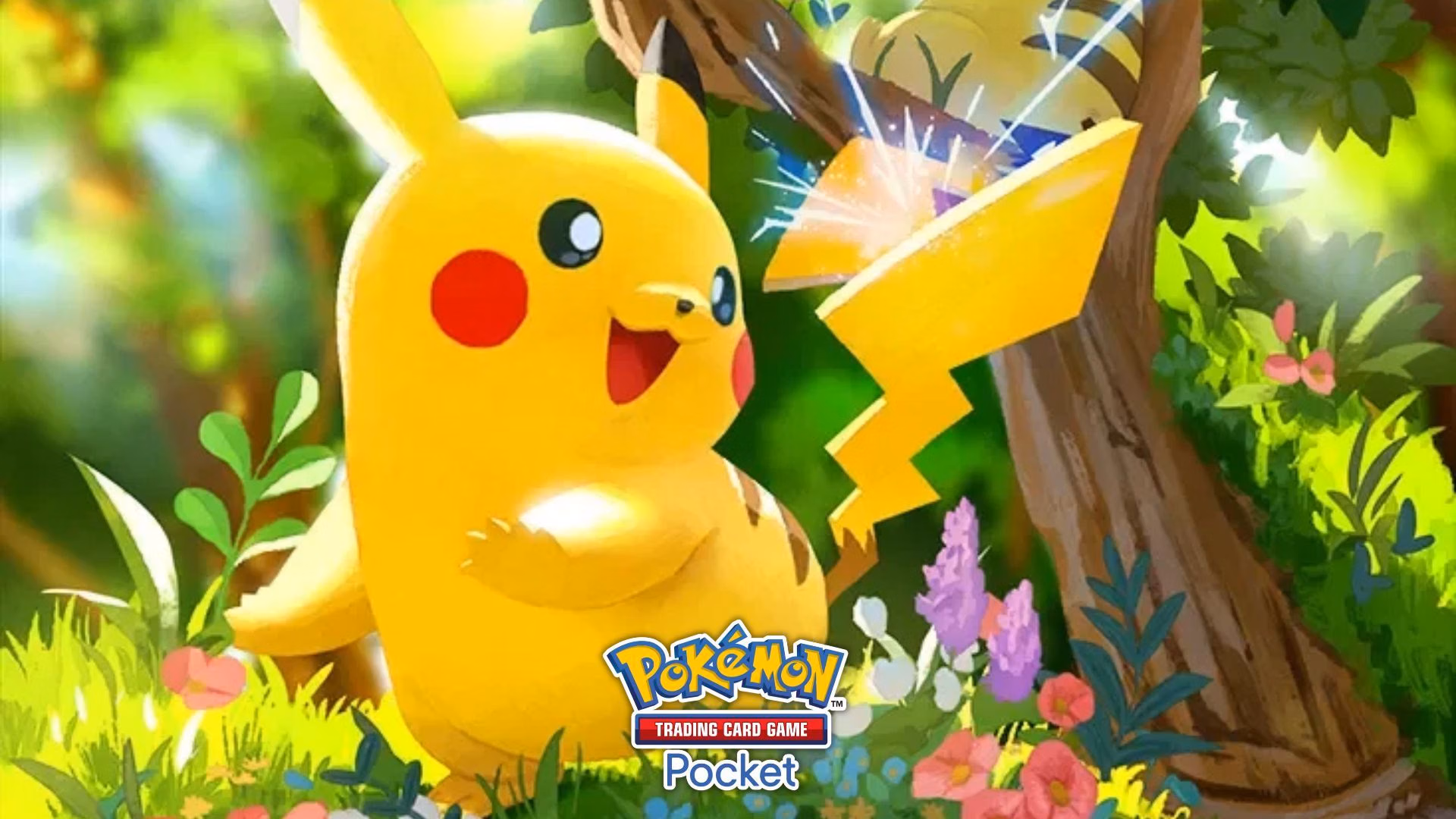 Pokémon TCG